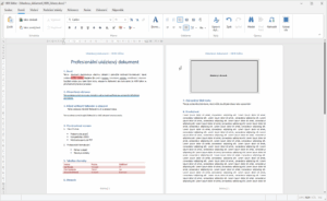HERI Editor - hlavní okno s textem